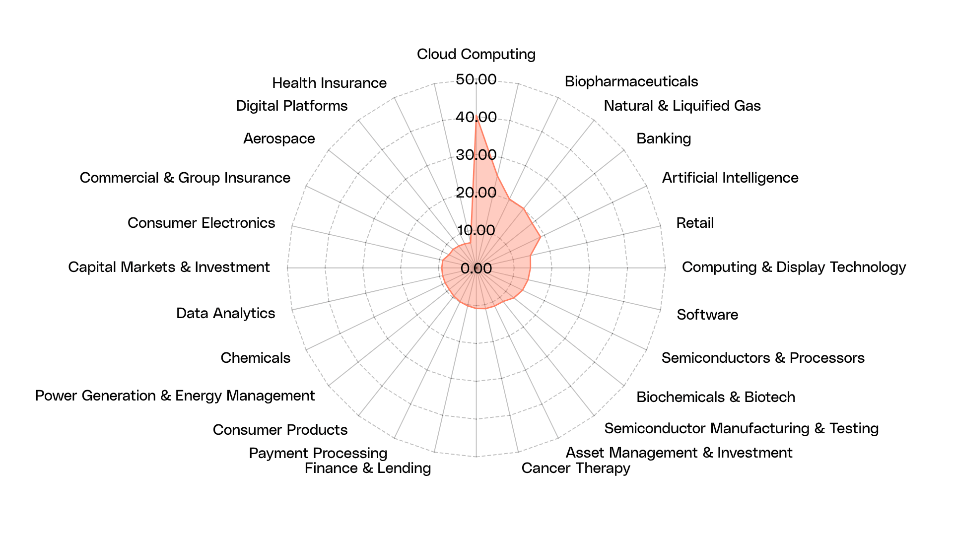 Radio chart showing portfolio exposure decomposition